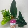 vitamin C Anti-Pimples Face Set — Complete 4-Piece Acne Clearing System